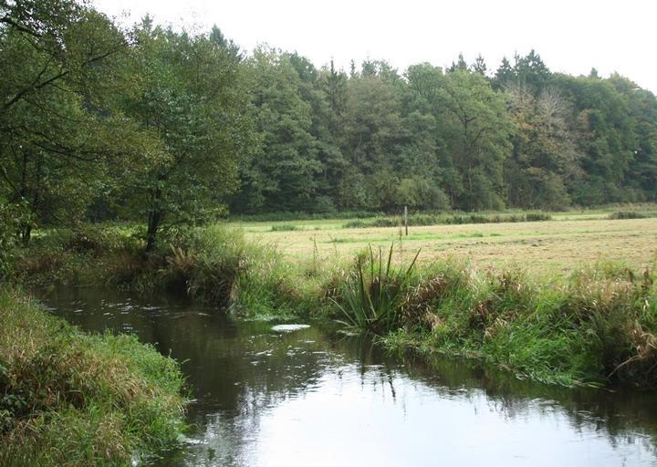 Zum Oertzewinkel